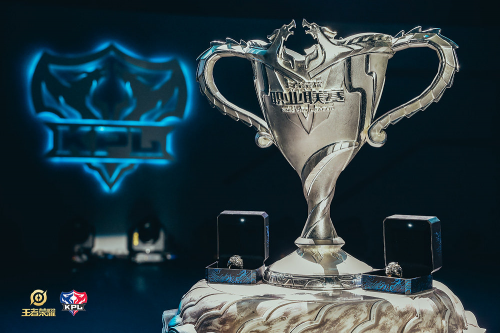 动联合会 动联合会