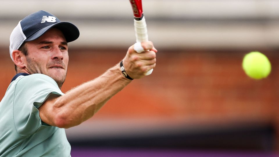 了更多的尊 了更多的尊